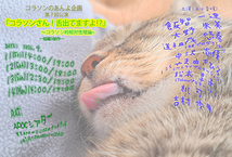 『コラソンさん！ベロ、出てますよ？！』