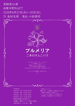 プルメリア