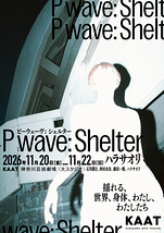 P wave: Shelter