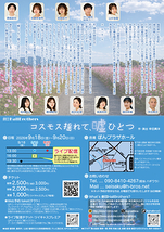 コスモス揺れて、嘘ひとつ