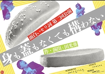 身も蓋もなくても構わない