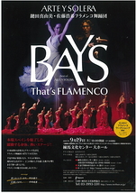 BAYS～That's FLAMENCO