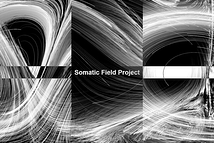Somatic Field Project リサーチショーイング