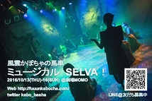 ミュージカル SELVA!