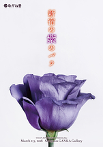 新宿の紫のバラ