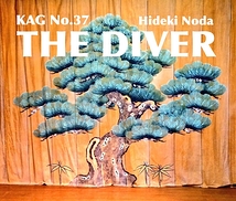 THE DIVER