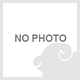 ジェローム・ベル × ピチェ・クランチェン『ピチェ・クランチェンと私』