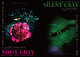 空が飛べると想ってみる。『NOISY&SILENT GRAY』 