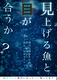 見上げる魚と目が合うか？