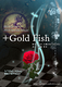 +Gold Fish