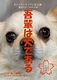 吾輩は犬である