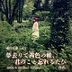 夢去りて茜色の帷、君のこと忘れるたび