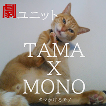 タマかけるモノ