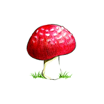 こみちの旅企画