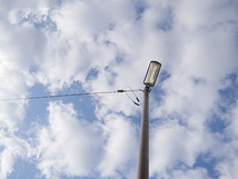 あんぽんたん（仮）