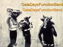 GaiaDaysFunctionBand