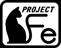 PROJECT Fe
