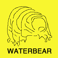 WATERBEAR LLC