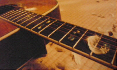 羽とギター