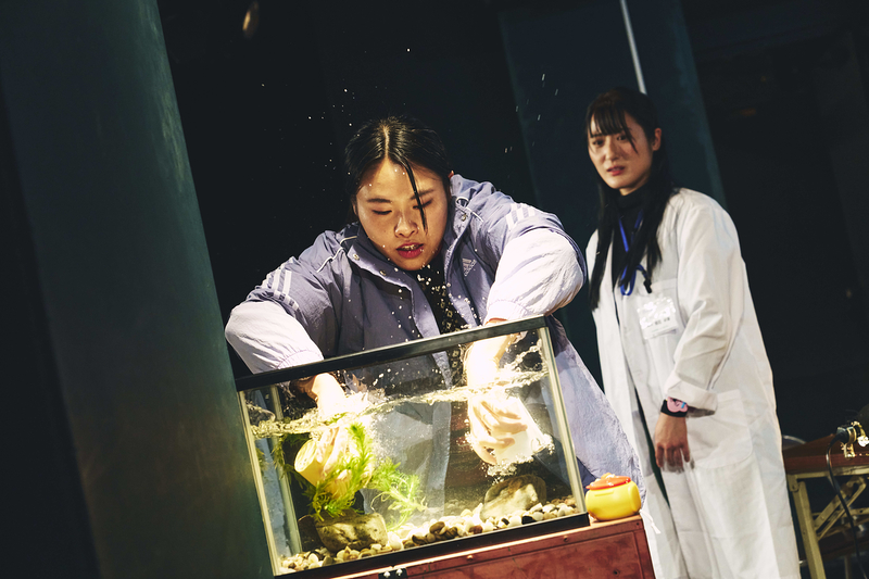 おろしたての魚群（再演・2025）