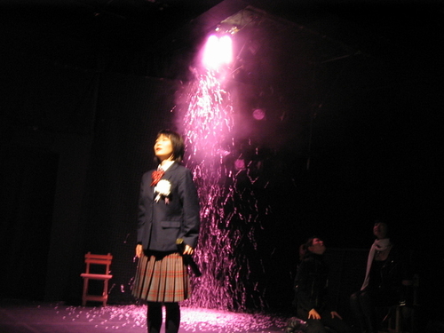 2006年5月『桜吹雪の…』