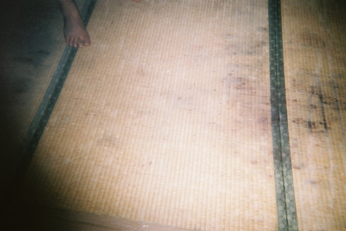 畳。日本の、畳